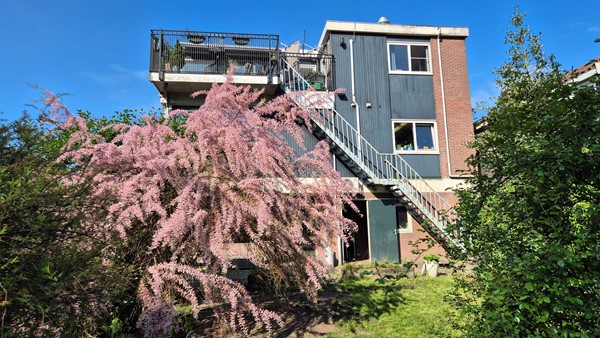 Medium property photo - Zuiddijk 419, 1505 HC Zaandam